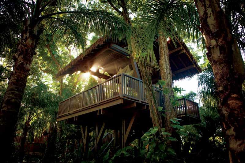 Green Magic Treehouses