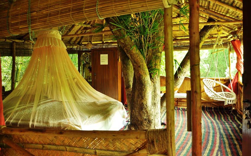 Green Magic Treehouses