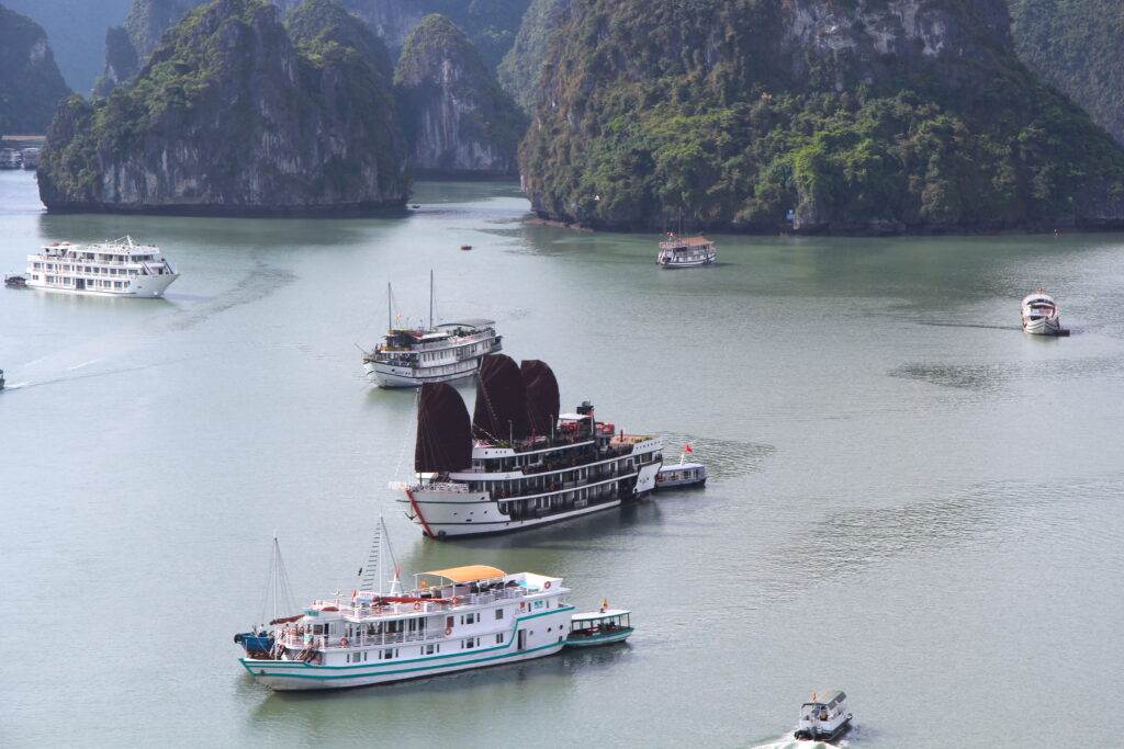 Alisa Premier Cruise
