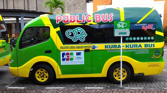 Kura Kura