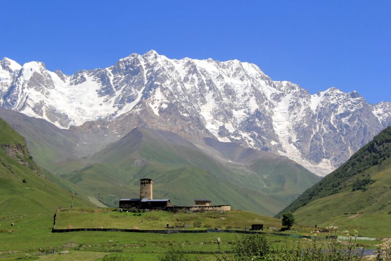 Ламария